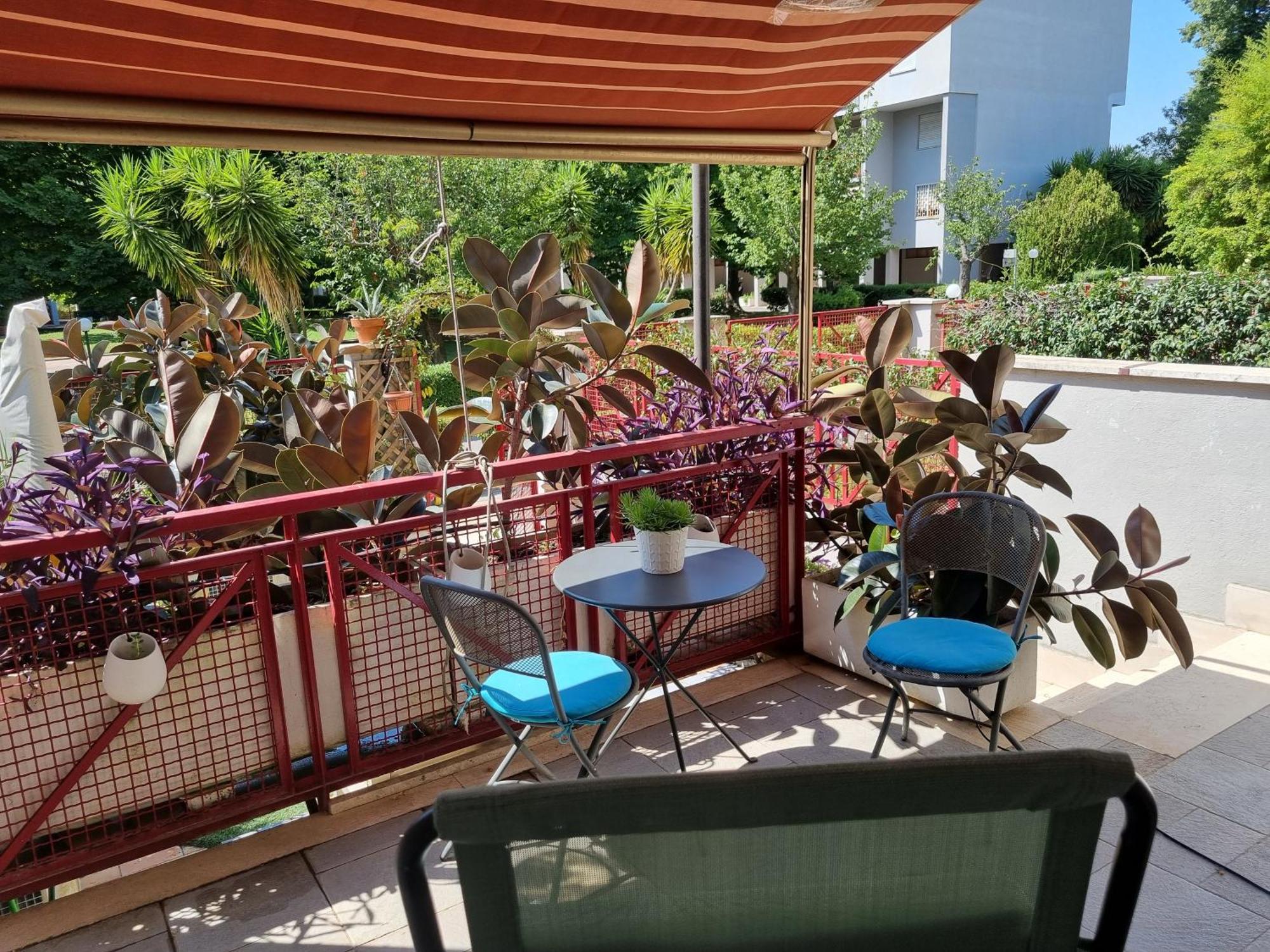 רומא Intero Appartamento Con Giardino E Parcheggio מראה חיצוני תמונה